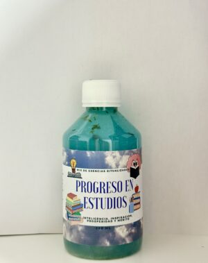 PROGRESO EN ESTUDIOS