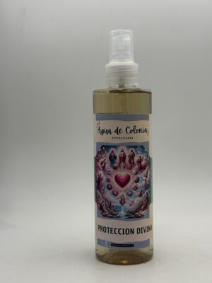 PROTECCION DIVINA