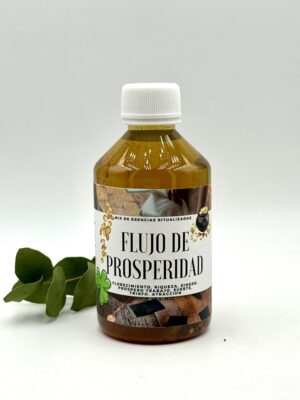 FLUJO DE PROSPERIDAD