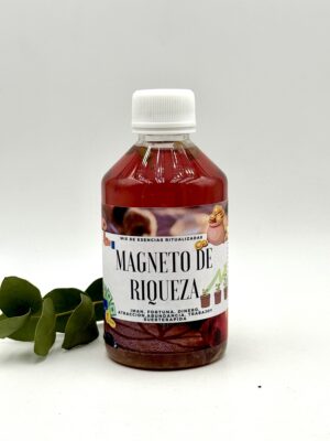 MAGNETO DE RIQUEZA