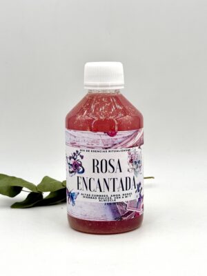 ROSA ENCANTADA