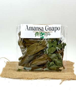AMANSA GUAPO