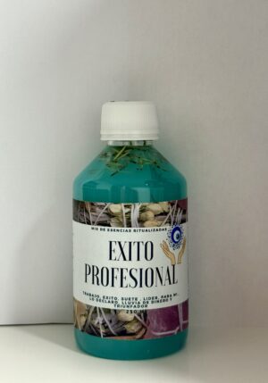 EXITO PROFESIONAL