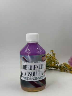 OBEDIENCIA ABSOLUTA