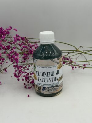 EL DINERO ME ENCUENTRA