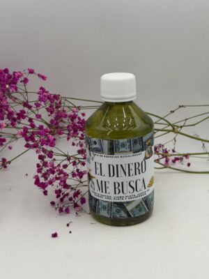 EL DINERO ME BUSCA
