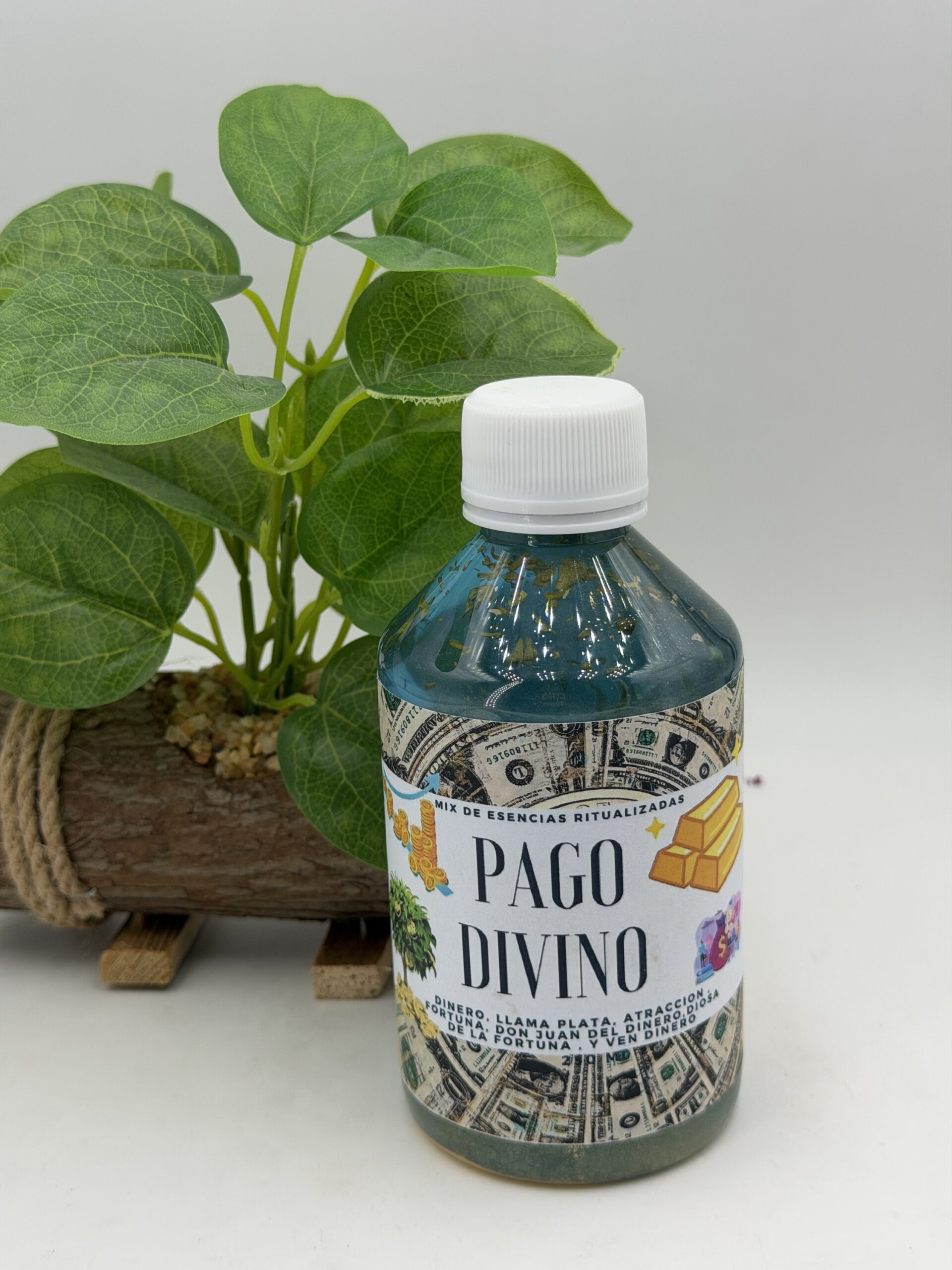 PAGO DIVINO