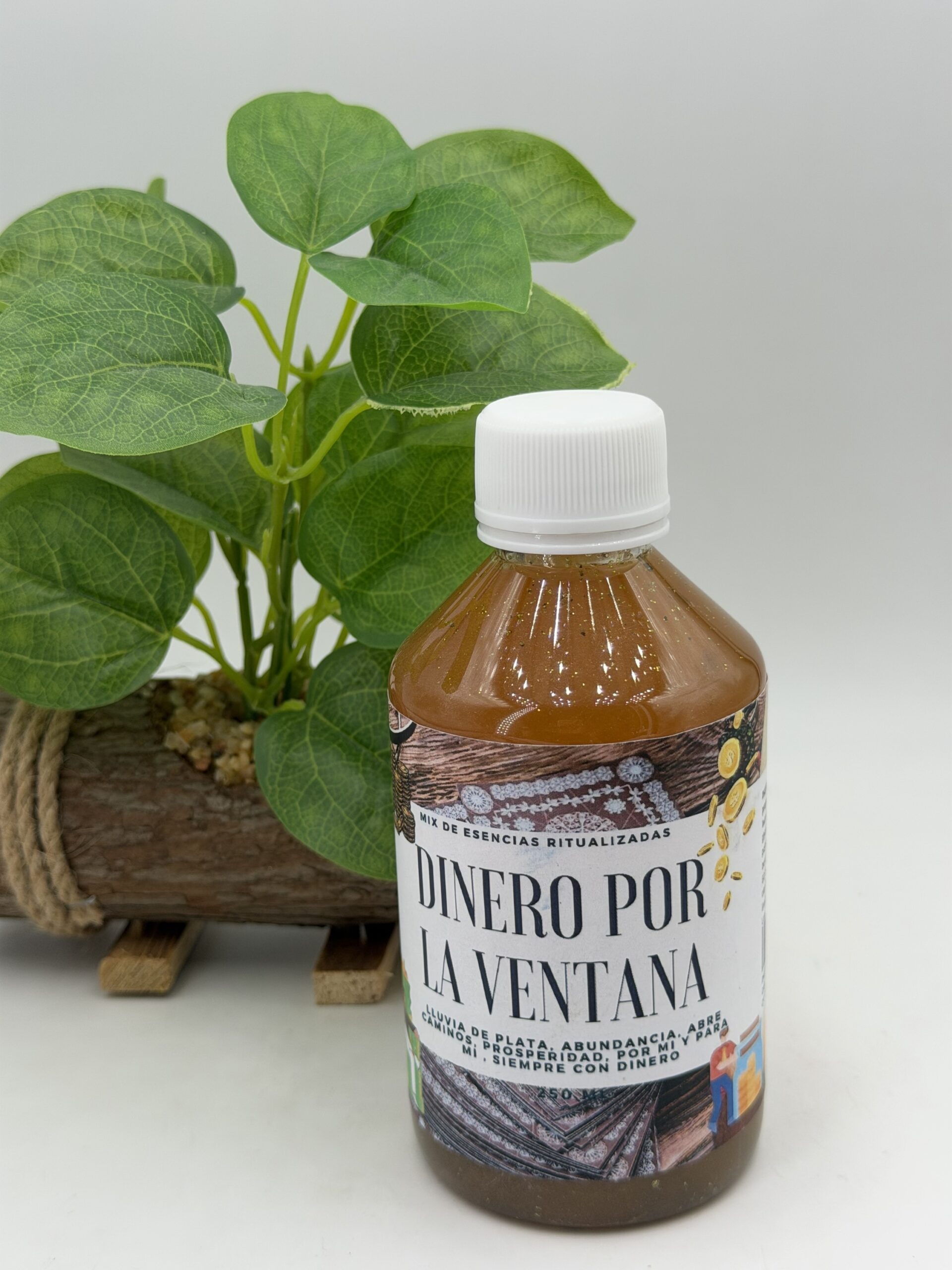 DINERO POR LA VENTANA