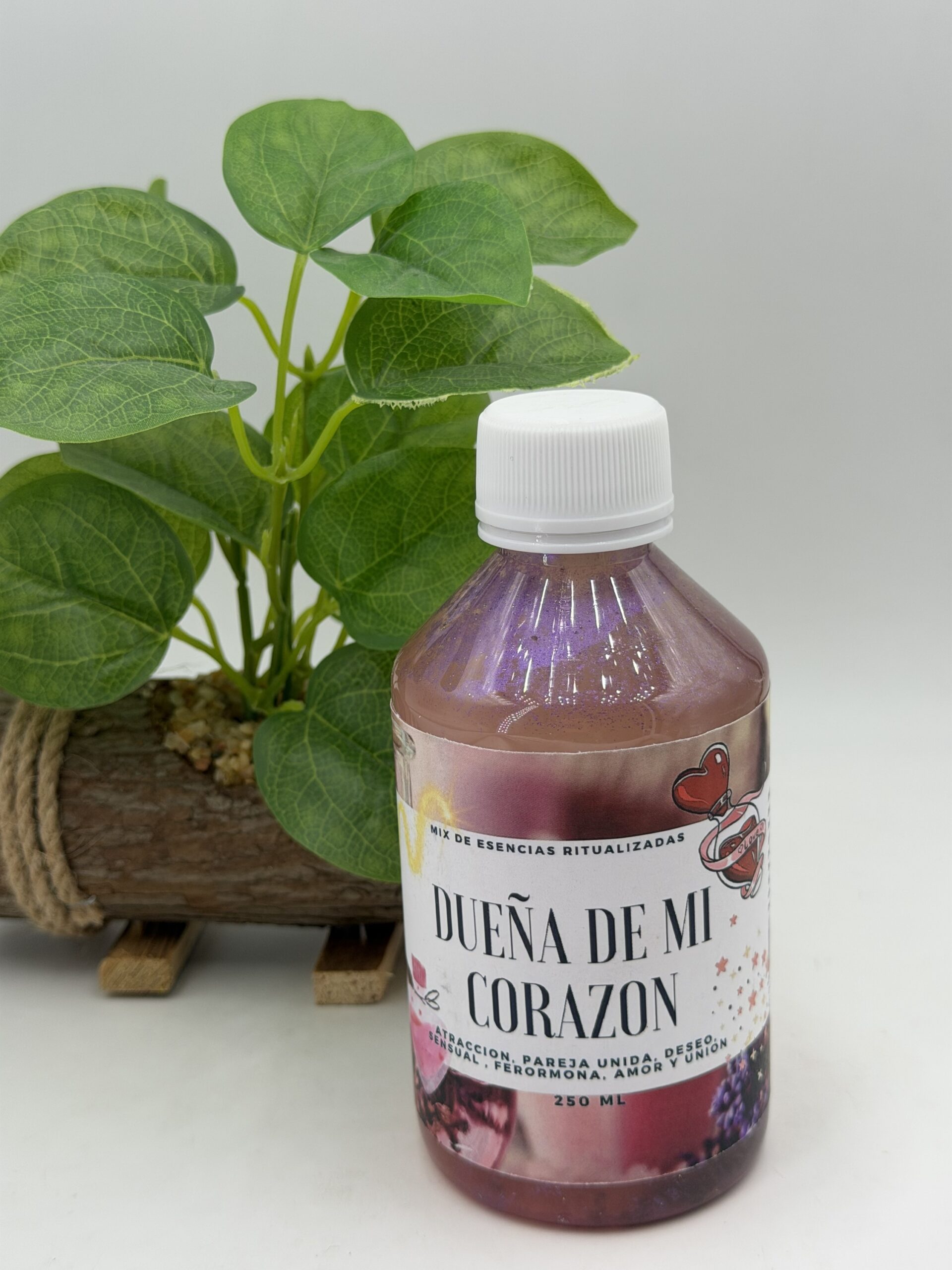 DUEÑA DE MI CORAZON