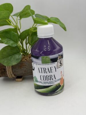 ATRAE Y COBRA