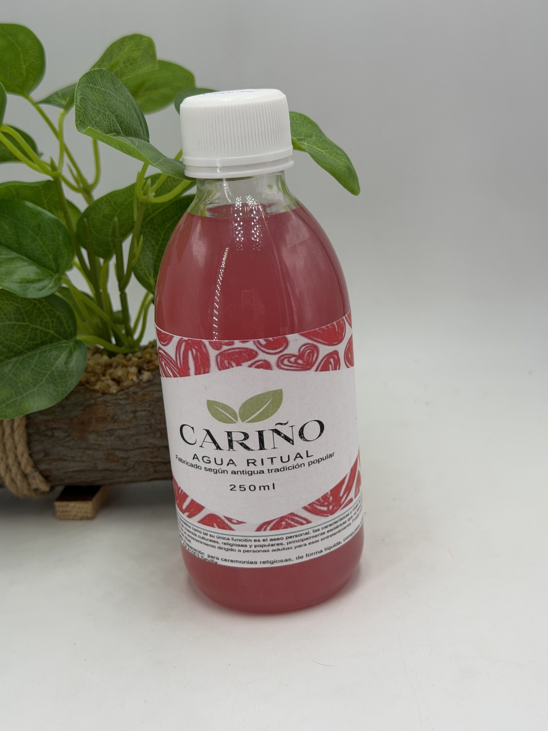 CARIÑO